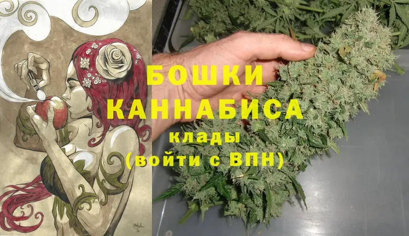 darknet наркотические препараты  купить наркоту  Прокопьевск  Канабис SATIVA & INDICA 